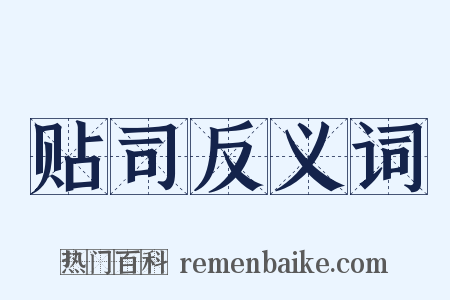 贴司反义词是什么意思的图片